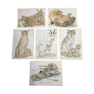 Wildlife Art Prints Mother Baby Animal‎ Illustrations Vintage Cards Current, Inc